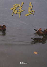 群鸟飞过的湖面